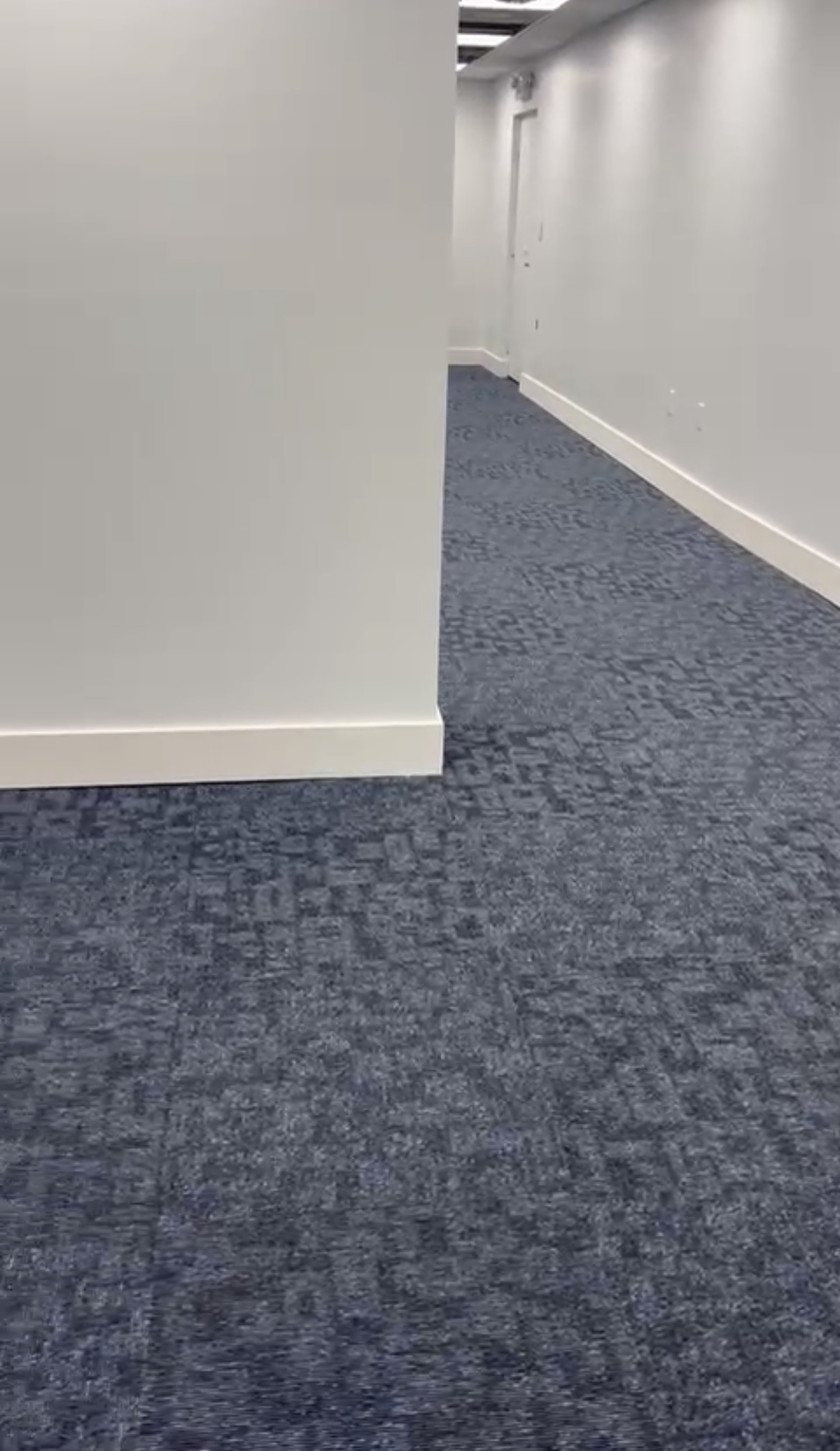 Premium carpet installation result